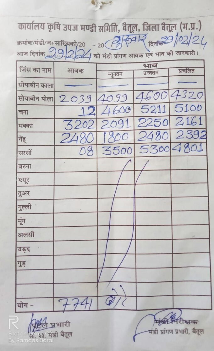 Betul Mandi Bhav Today : बैतूल मंडी आज का भाव - 29 फरवरी 2024