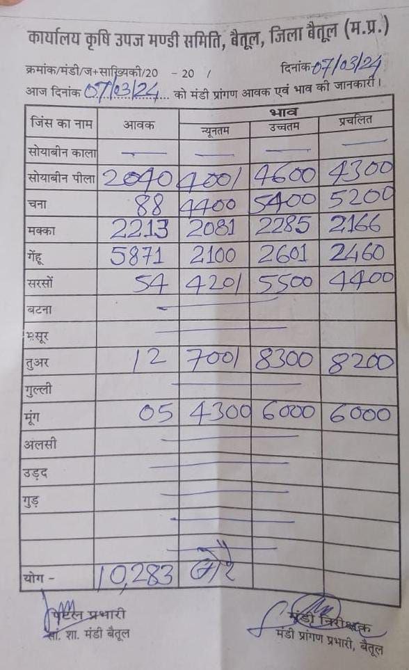 Betul Mandi Bhav Today : बैतूल मंडी आज का भाव - 07 मार्च 2024