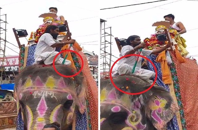 Shiv-Parvati Vivah: हाथी पर सवार होकर नगर भ्रमण पर निकलेंगे राजाधिराज बाबा महाकाल