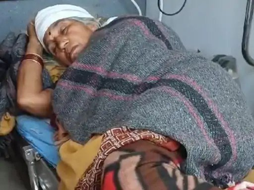 Betul Attack News: जंगली सुअर का हमला, एक पुरूष और महिला गंभीर रूप से घायल