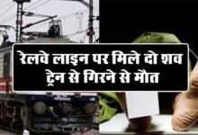 Train Accident News: रेलवे लाइन पर मिले दो शव, ट्रेन से गिरकर मौत होने की आशंका