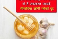 Honey And Garlic Health Benefits: शहद और लहसुन को खाने के हैं जबरदस्त फायदे, बीमारियां रहेगी कोसों दूर