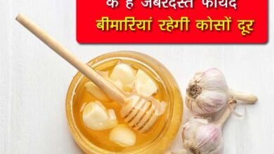 Honey And Garlic Health Benefits: शहद और लहसुन को खाने के हैं जबरदस्त फायदे, बीमारियां रहेगी कोसों दूर