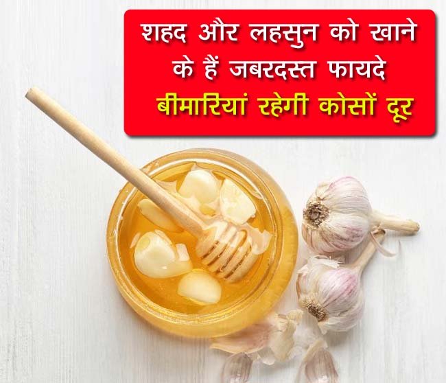 Honey And Garlic Health Benefits: शहद और लहसुन को खाने के हैं जबरदस्त फायदे, बीमारियां रहेगी कोसों दूर