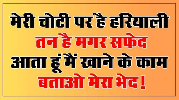 Interesting GK Questions: मेरी चोटी पर है हरियाली, तन है मगर सफेद, आता हूं मैं खाने के काम, बताओ मेरा भेद!