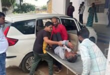 Betul Accident: सड़क हादसे में गंभीर घायलों को BMO ने पहुंचाया अस्‍पताल