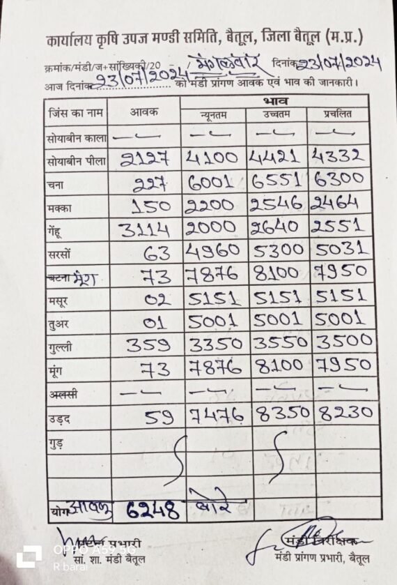 Betul Mandi Bhav Today : बैतूल मंडी आज का भाव - 23 जुलाई 2024